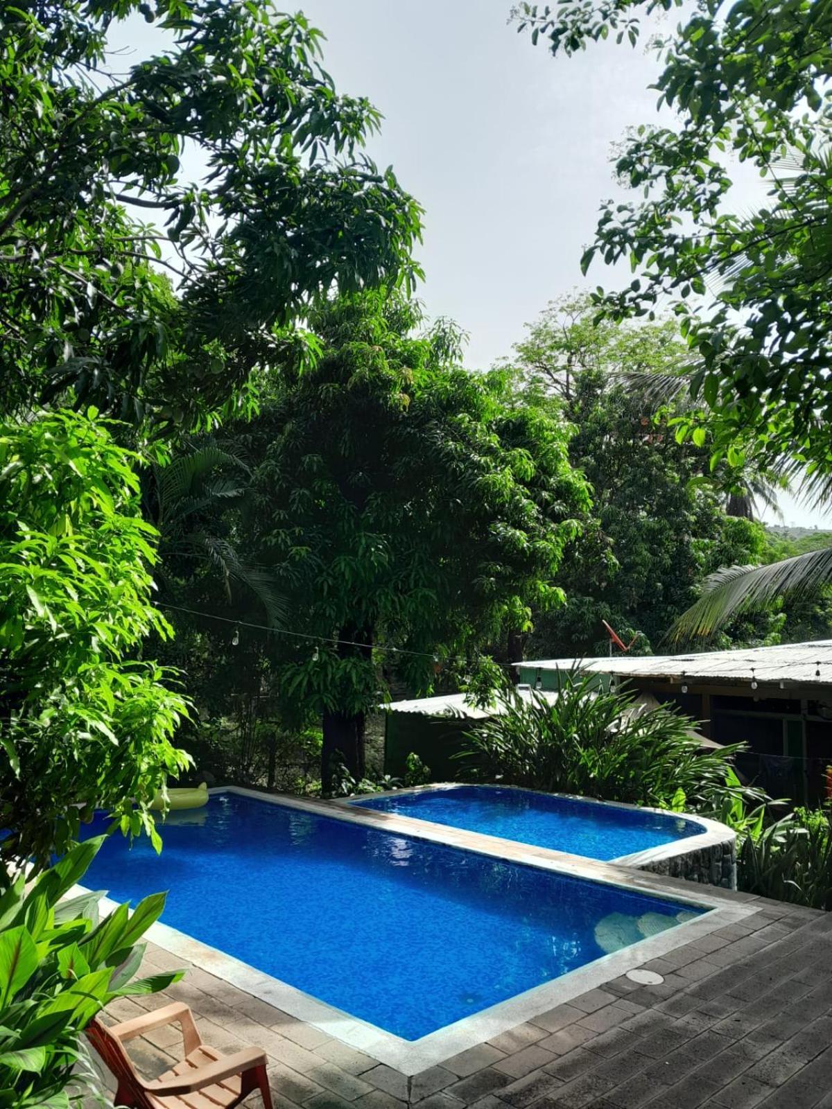 Hammock plantation Lägenhet El Zonte Exteriör bild