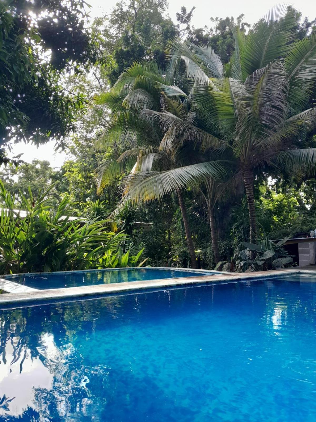 Hammock plantation Lägenhet El Zonte Exteriör bild
