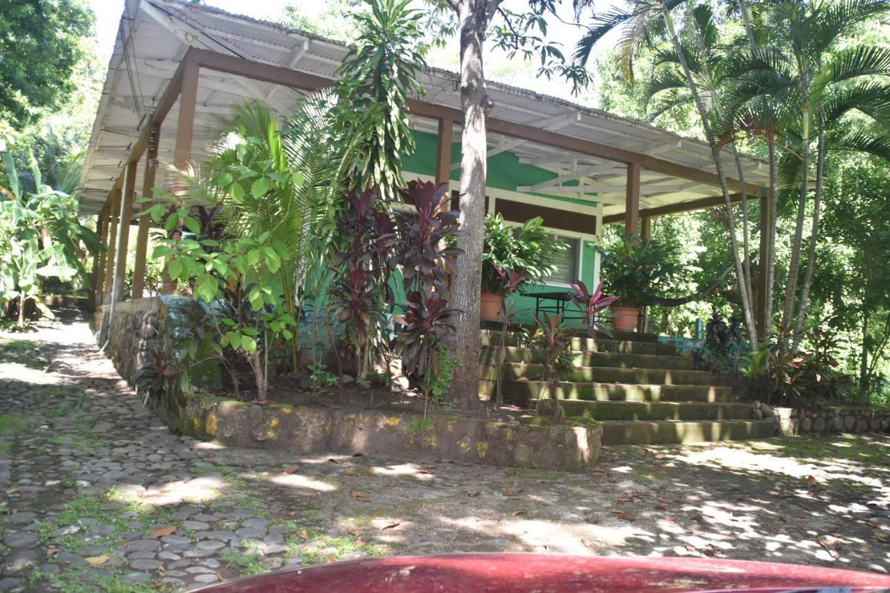 Hammock plantation Lägenhet El Zonte Exteriör bild