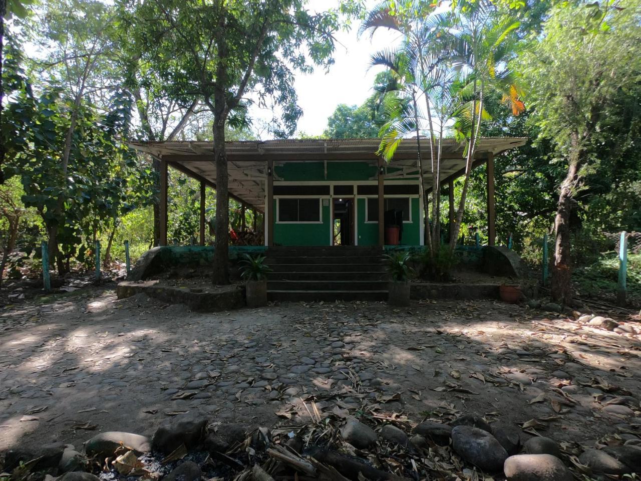 Hammock plantation Lägenhet El Zonte Exteriör bild