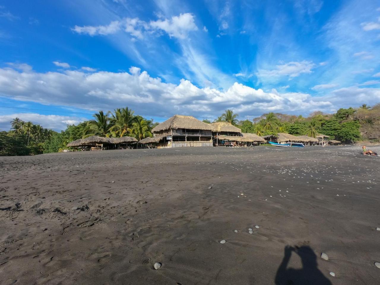 Hammock plantation Lägenhet El Zonte Exteriör bild
