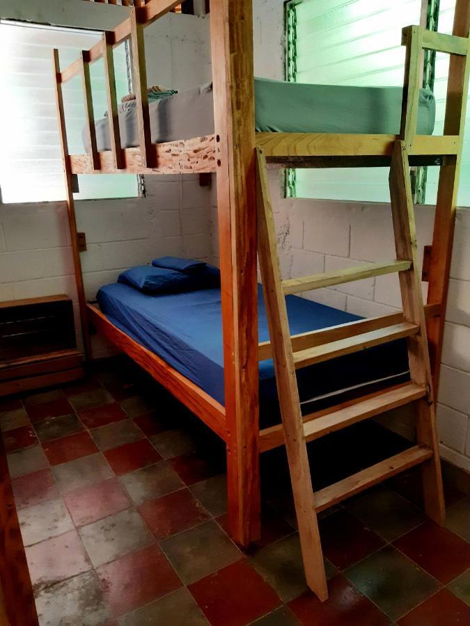 Hammock plantation Lägenhet El Zonte Exteriör bild